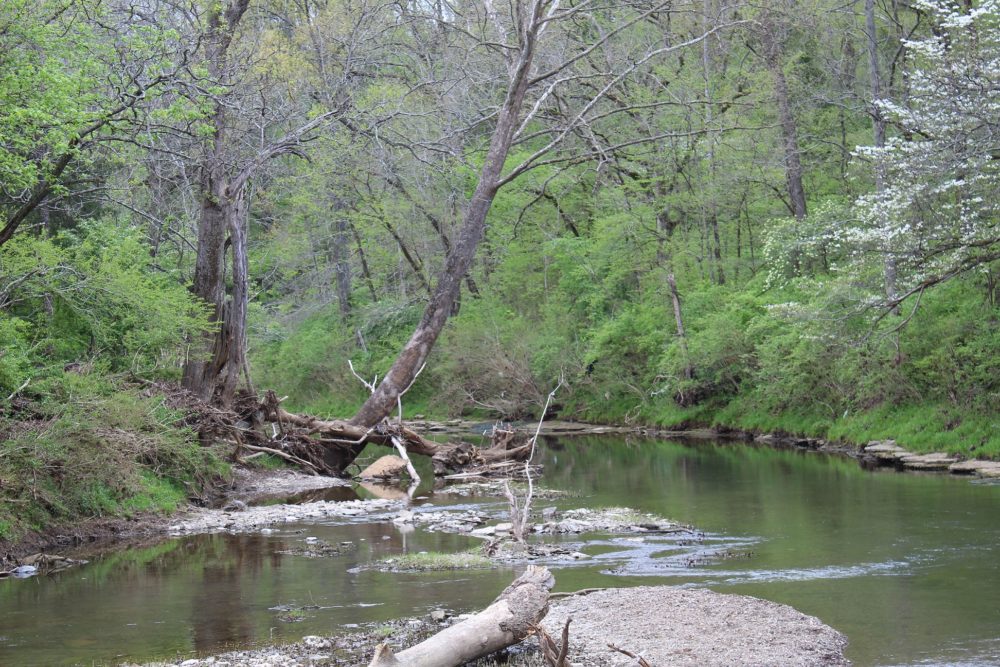 Mill Creek Park Greenway, TN
